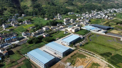 产业融合绘新景 种养结合促振兴