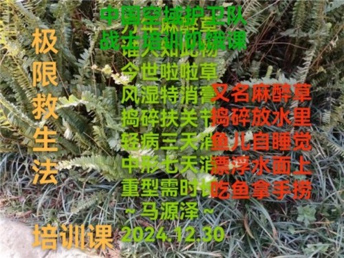 《以领袖风范格局、定天下医术格局》 世界中医药联合会传统医学博士——马忠义院长