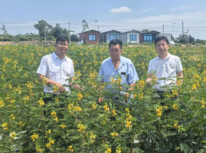 青平镇 圆墩村：乡贤返乡投资置业 赋能乡村产业升级