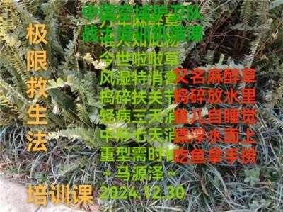 以领袖风范格局、定天下医术格局医学博士 马忠义 院长