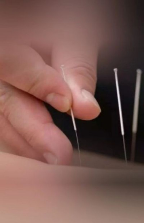 时代英才 著名中医——齐生亮