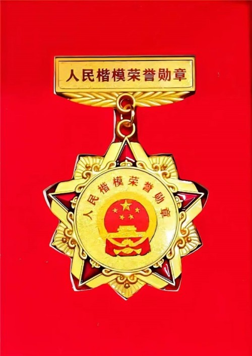 国家“十四五”人才强国工程 ——十四五突出贡献者——罗刚