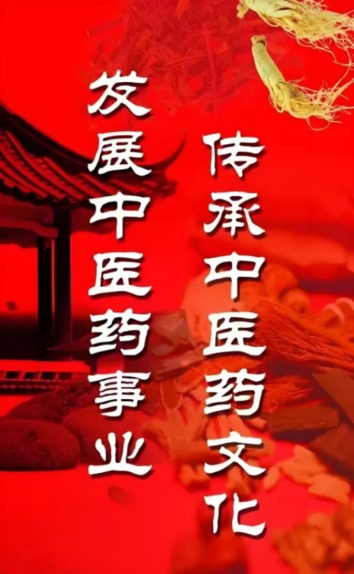 道医传薪 健康筑梦——王少青的非遗传承与产业担当