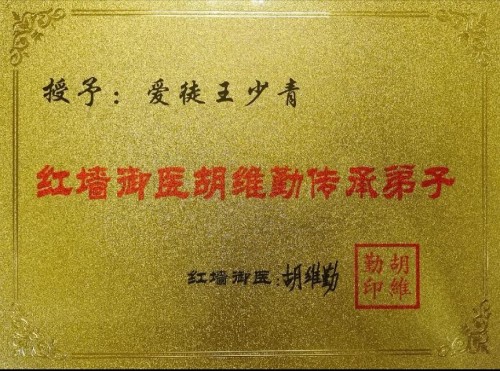 道医传薪 健康筑梦——王少青的非遗传承与产业担当