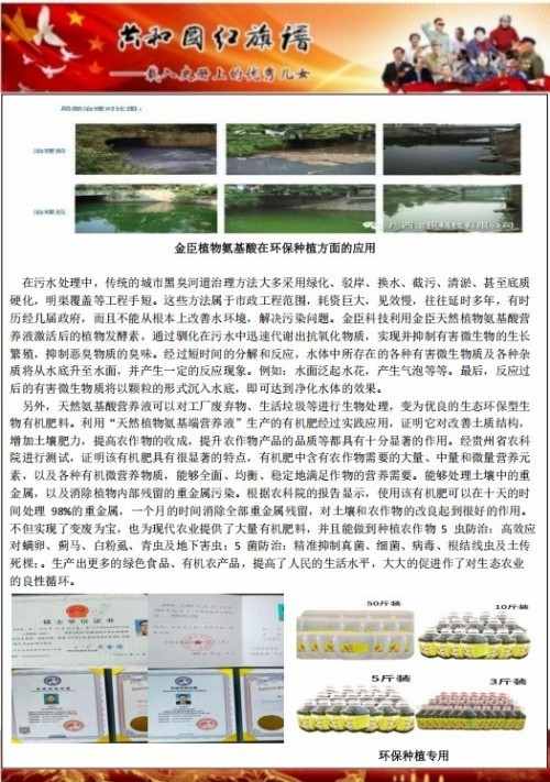 喜迎2026元旦人物贺岁特别报道 优秀企业家——金凤章