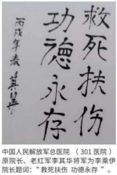 献礼2026 全国两会 当代中医事业奠基人李乘伊院士