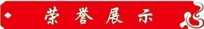 2026两会专题报道 鼻炎克星北京中医院院长——陈彦青