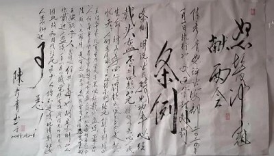 2026两会专题报道 鼻炎克星北京中医院院长——陈彦青