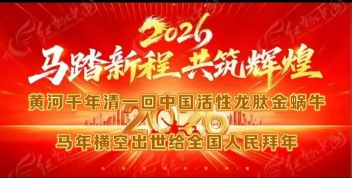 科创为民·健康中国｜黄河千年清一回·桑黄龙肽，守护生命稳态的东方力量 献礼2026两会专题报道