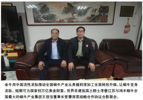 科创为民·健康中国｜黄河千年清一回·桑黄龙肽，守护生命稳态的东方力量 献礼2026两会专题报道