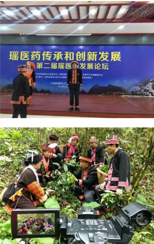 金秀瑶族灯草灸疗法瑶医药非物质文化遗产传承人---赵衷民