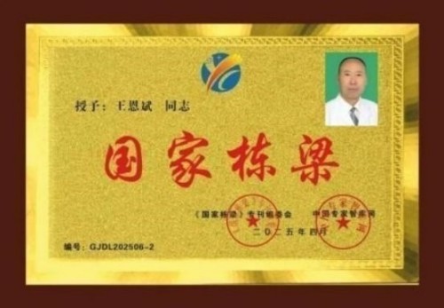 落实两会精神 岐黄赋能健康 中华医圣王叔和第八十七代传承王恩斌