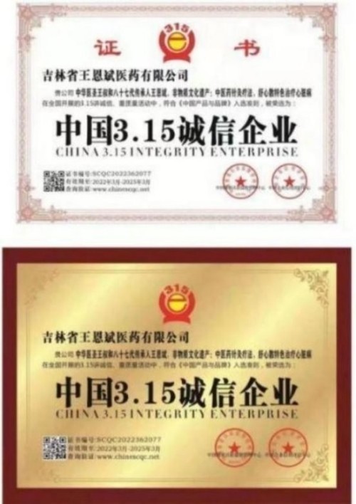 落实两会精神 岐黄赋能健康 中华医圣王叔和第八十七代传承王恩斌