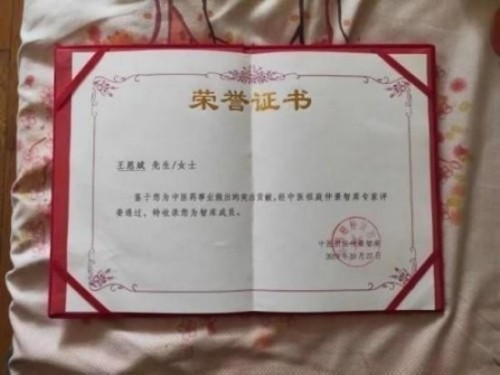 落实两会精神 岐黄赋能健康 中华医圣王叔和第八十七代传承王恩斌