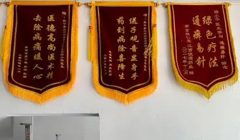 国医名师——杨小华
