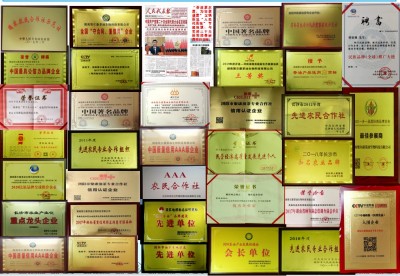 以劳模精神铸魂 以油茶产业筑梦 ——记聚尔康茶油曹松林