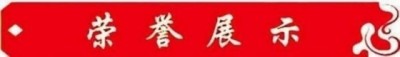 弘扬劳模精神  争做时代先锋 中国易学名家——朱光