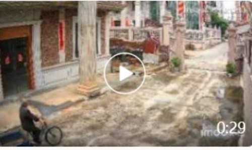 三焦氣化→中醫免疫療法是目前全球最廉價的治療方法,也是全球治療時間最短的治療方法!