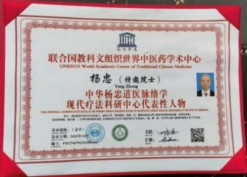 人民视窗官方网站特别报道 中华道医脉络学现代疗法创始人杨忠