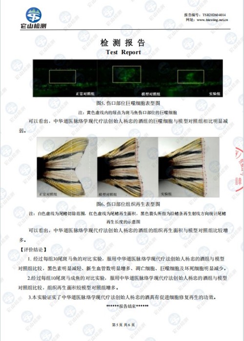 人民视窗官方网站特别报道 中华道医脉络学现代疗法创始人杨忠