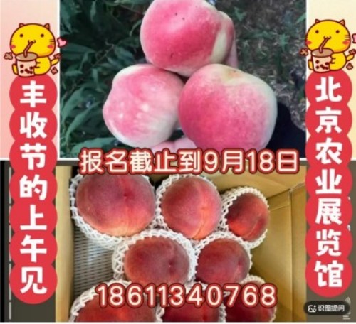 凭技术打天下 靠效果定江山 红色大健康产业链农产品口感擂台赛邀您共赴品质之约