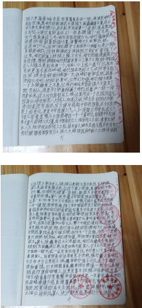 十家网站专题报道 《中文语言日》本期封面人物·贾玉柳