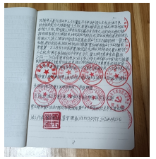 十家网站专题报道 《中文语言日》本期封面人物·贾玉柳