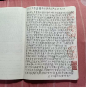 十家网站专题报道 《中文语言日》本期封面人物·贾玉柳