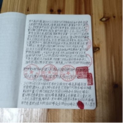 十家网站专题报道 《中文语言日》本期封面人物·贾玉柳