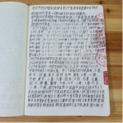 十家网站专题报道 《中文语言日》本期封面人物·贾玉柳