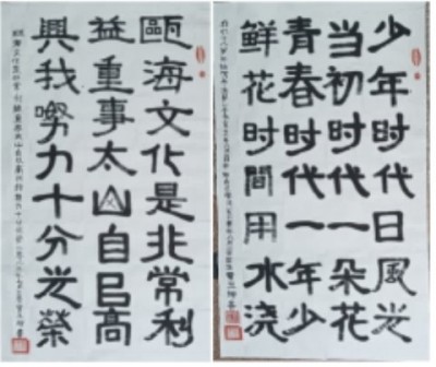 十家网站专题报道 《中文语言日》本期封面人物·贾玉柳
