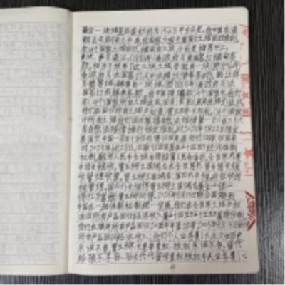 十家网站专题报道 《中文语言日》本期封面人物·贾玉柳