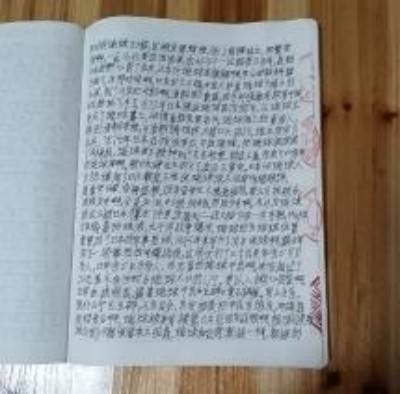 十家网站专题报道 《中文语言日》本期封面人物·贾玉柳