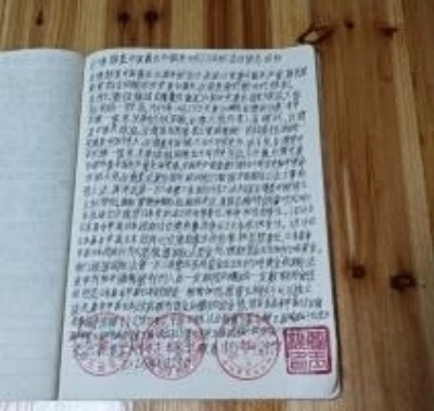 十家网站专题报道 《中文语言日》本期封面人物·贾玉柳