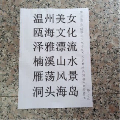 十家网站专题报道 《中文语言日》本期封面人物·贾玉柳