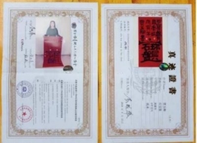 十家网站专题报道 《中文语言日》本期封面人物·贾玉柳